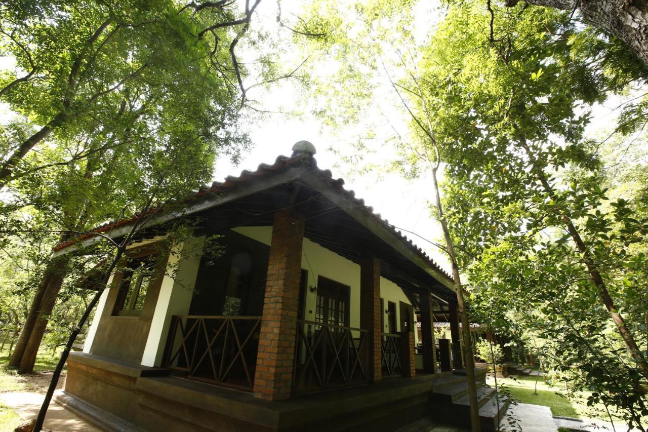 Palm Garden Village Hotel Anuradhapura Exterior photo